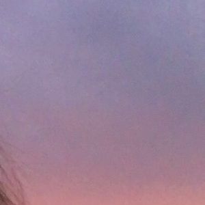 Meet your Posher, Vesa